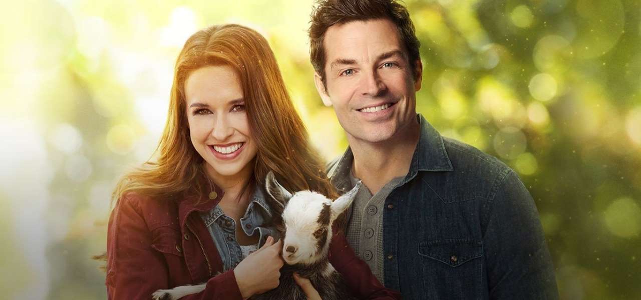 bed breakfast 2019 film