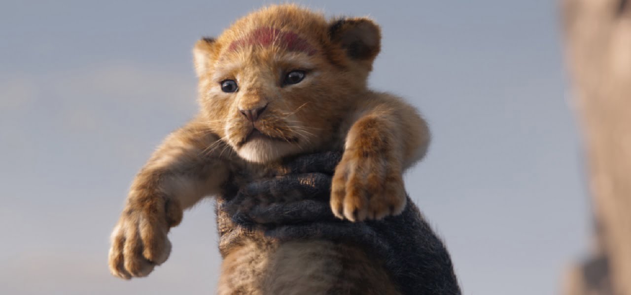 il re leone
