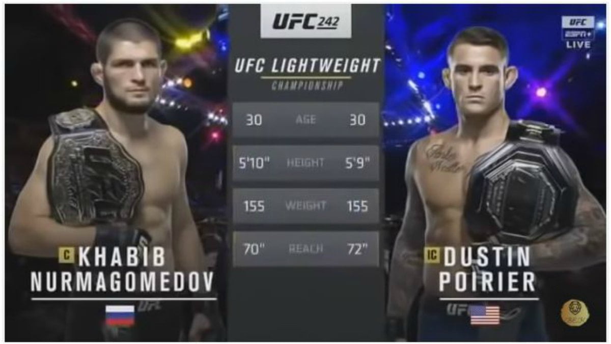 khabib 2019 yt