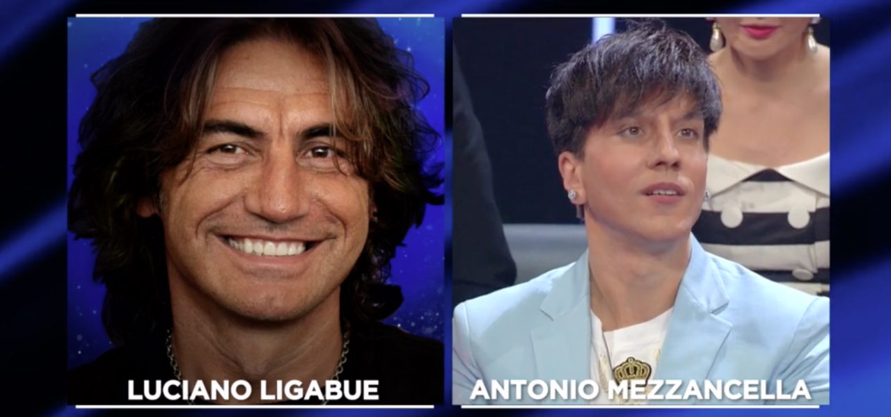 Tale e Quale Show - Il torneo