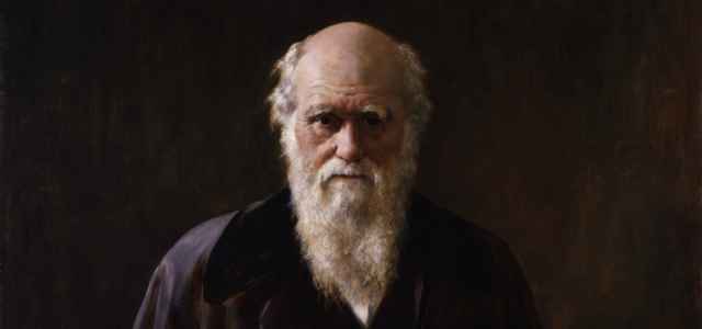 darwin evoluzione 1 pixabay1280 640x300