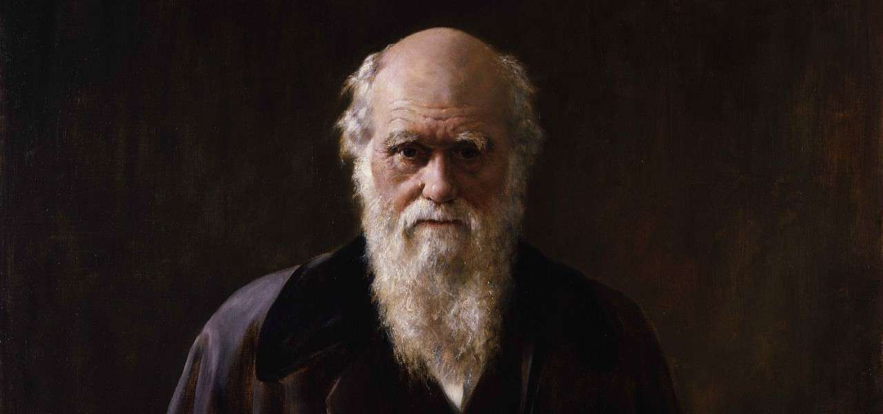 darwin evoluzione 1 pixabay1280