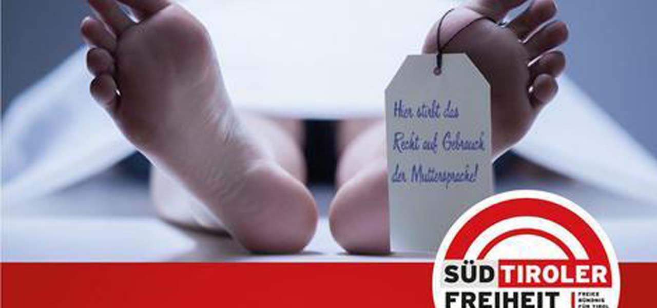 manifesto choc facebook