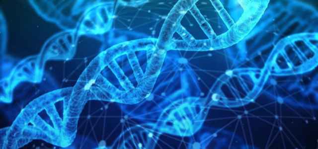 Dna donna preistorica