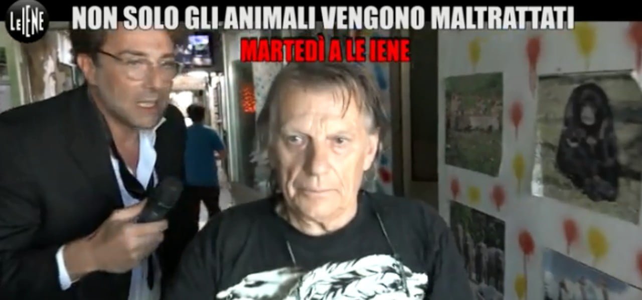 animali maltrattati modena 2019 iene