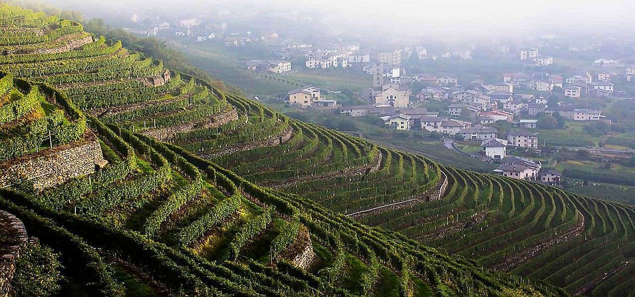 luoghi del vino apertura