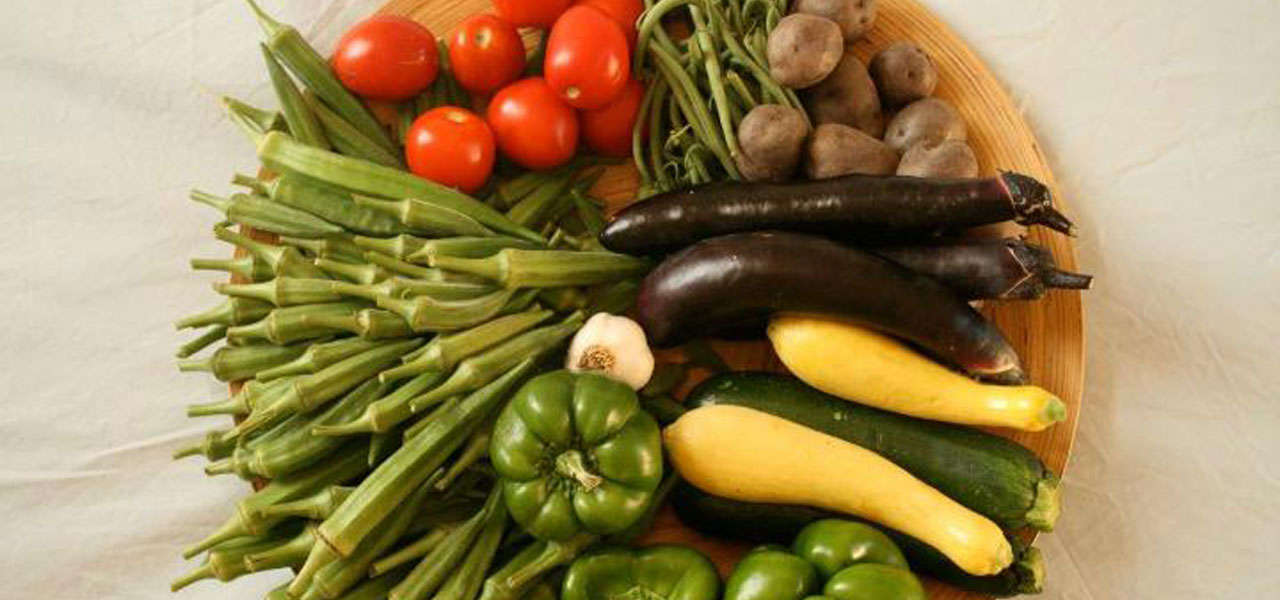 Veganismo