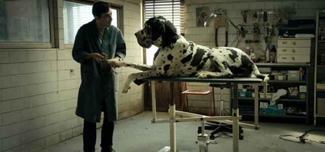 foto dogman 16 low 1030x615 640x300