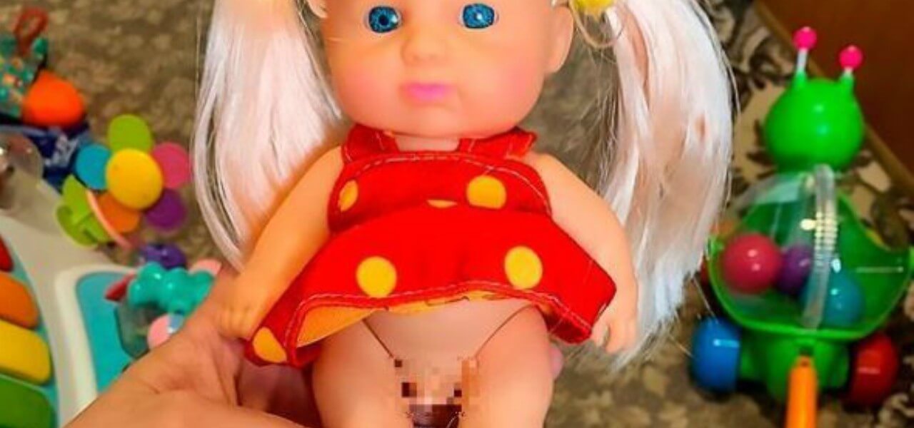 bambola trans