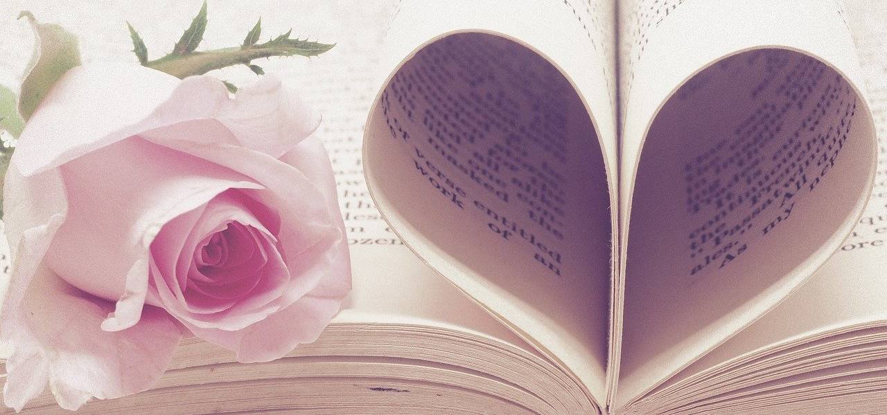 san valentino libro rosa pixabay
