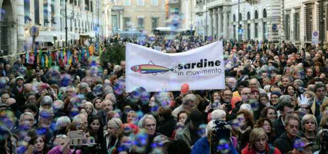 Sardine