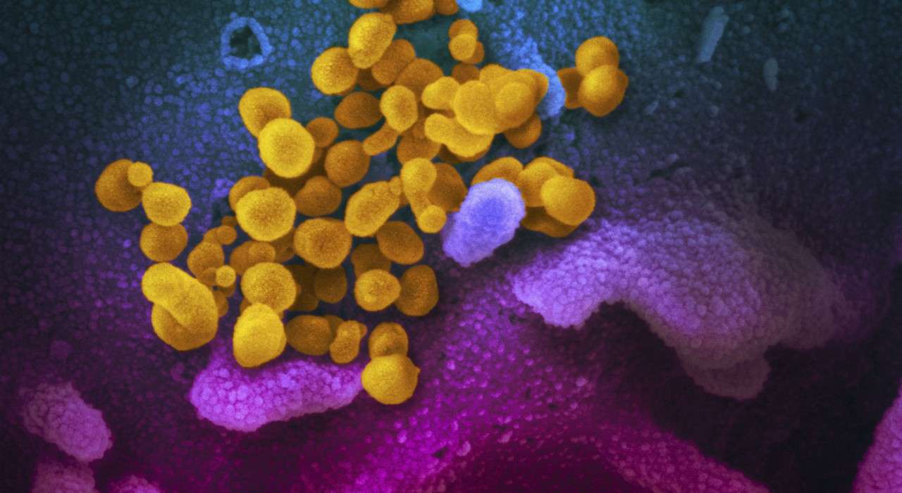sintomi coronavirus