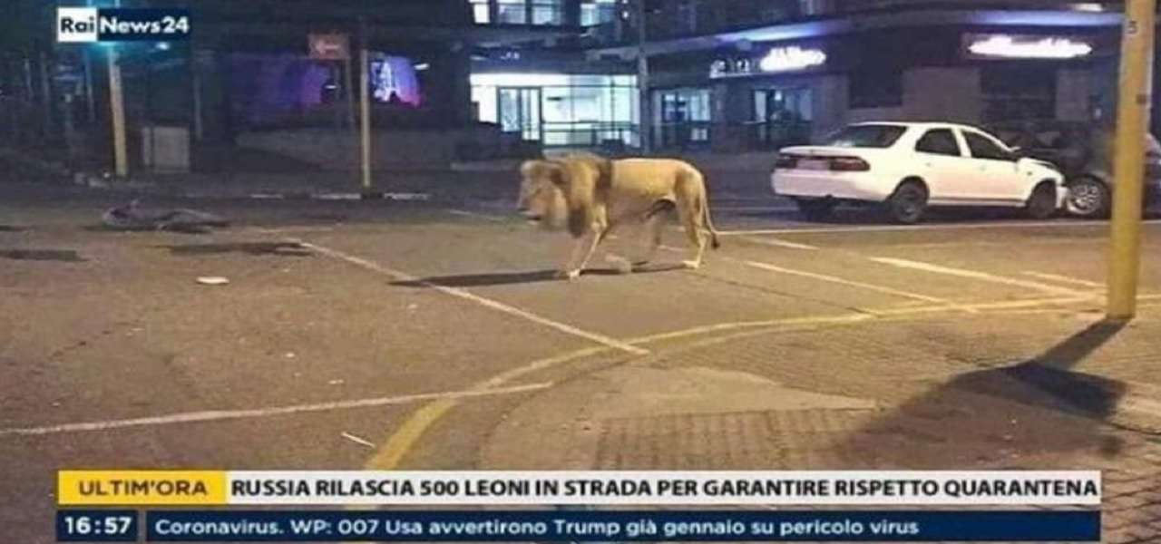 putin leoni coronavirus fake news