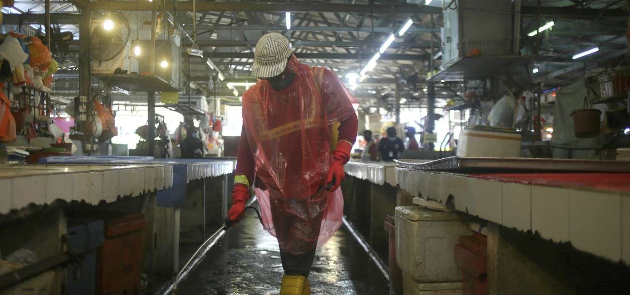 wet market 2020 lapresse