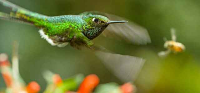 earth docu 2019 film 640x300