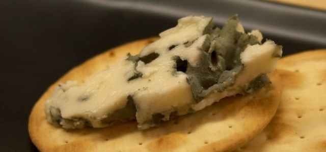 Formaggio Roquefort Pixabay 640x300
