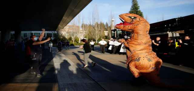 t rex lockdown 640x300.jpeg
