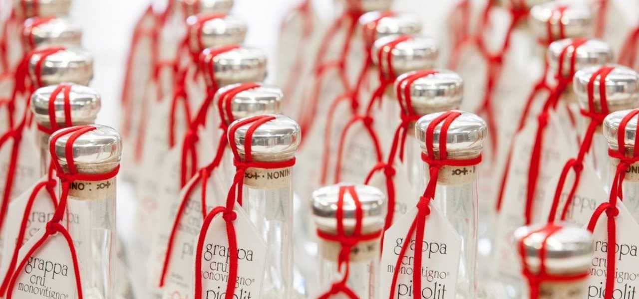grappa nonnino 2019 web