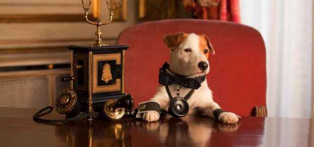 pongo cane milionario 2019 film 640x300