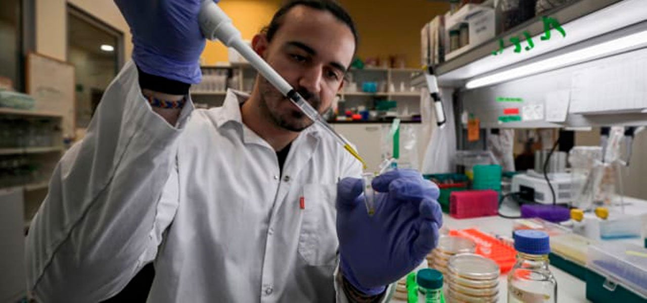 Coronavirus, la ricerca di un vaccino