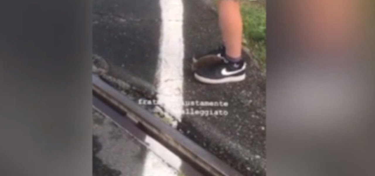 Ragazzo palleggia con un riccio Instagram