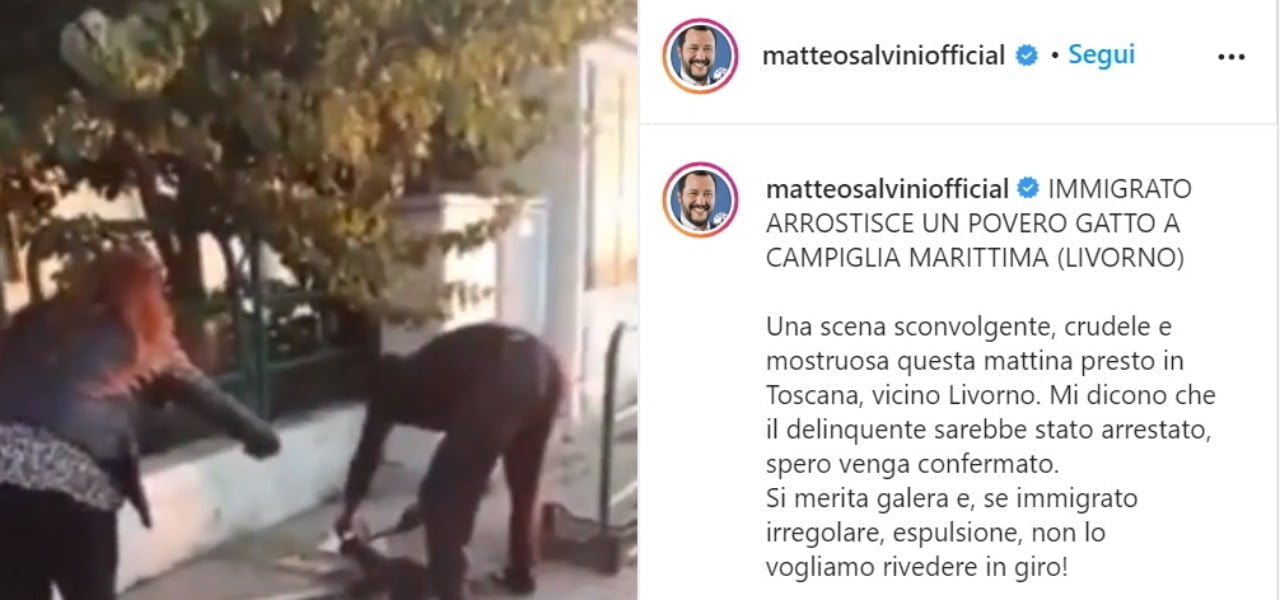 Migrante arrostisce gatto