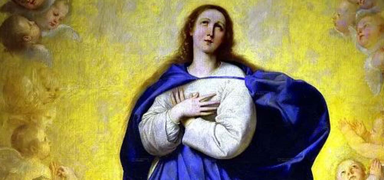 Auguri Buona Festa Dell Immacolata 8 Dicembre Quest Anno Si Fa Tutto Online