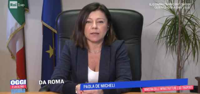 paola de micheli