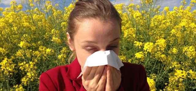 allergy 1738191 1280 640x300
