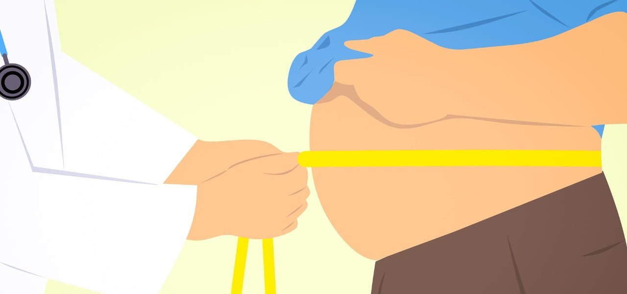 Le Persone Obese Possono Utilizzare Appositi Strumenti “Le persone obese hanno cervelli di forma diversa”/ La chiave è nell