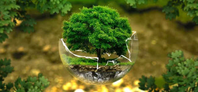 giornata mondiale ambiente pixabay 640x300