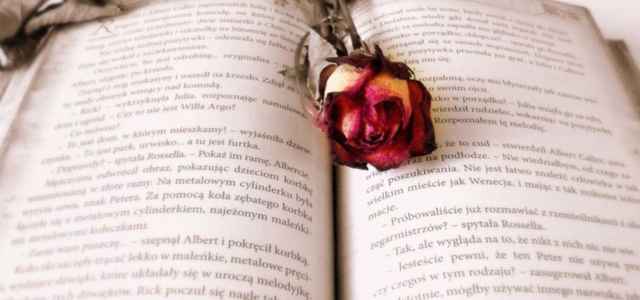 libro rosa pixabay 640x300
