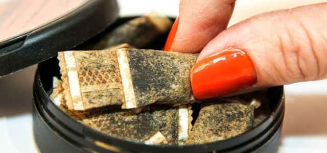 snus Pixabay1280 640x300