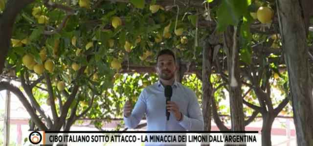 limoni fuori dal coro 2021 640x300