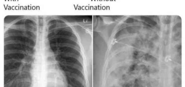 vaccini twitter 1 640x300