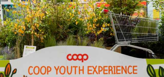coop youth experience cs 2021 640x300