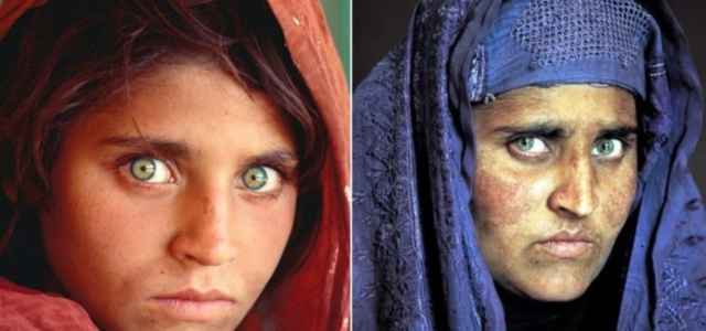 sharbat gula