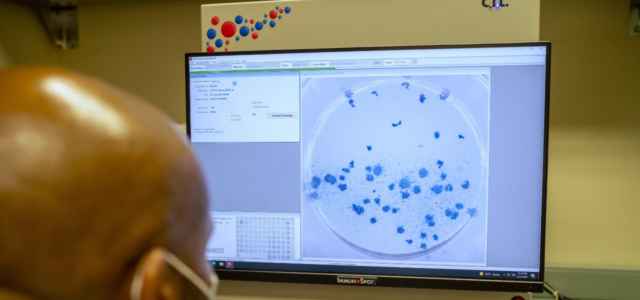 Covid, analisi su variante Omicron