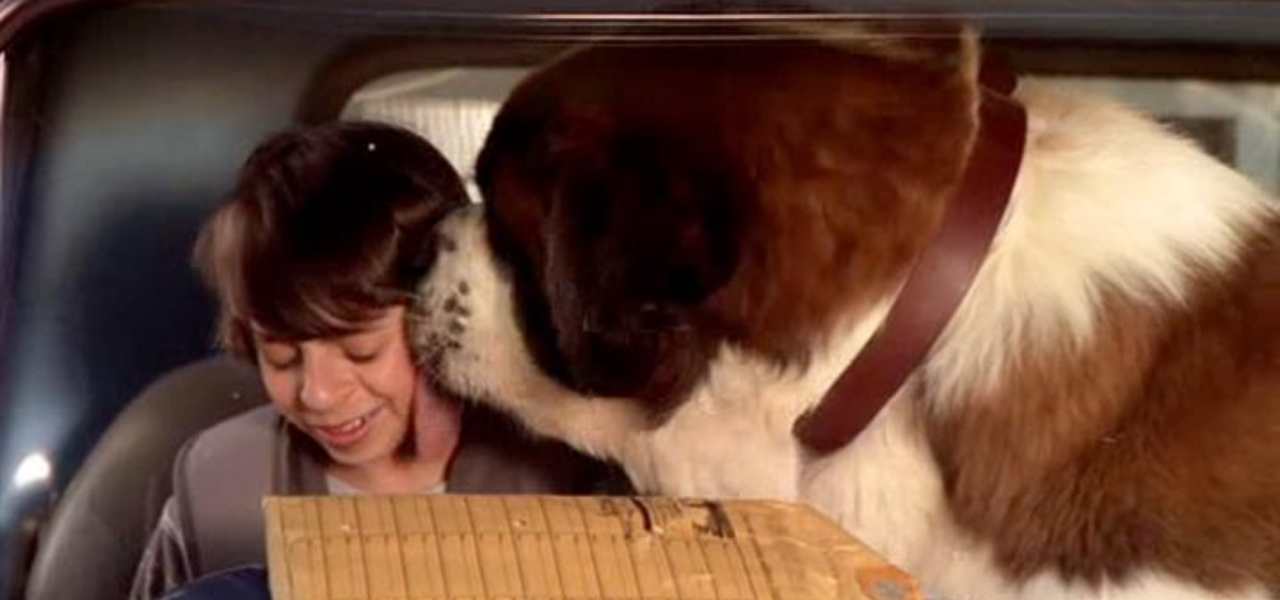 Beethoven A caccia di Oss... car!/ Su Italia 1 il reboot del film cult Beethoven A caccia di Oss... car!/ Su Italia 1 il reboot del film cult