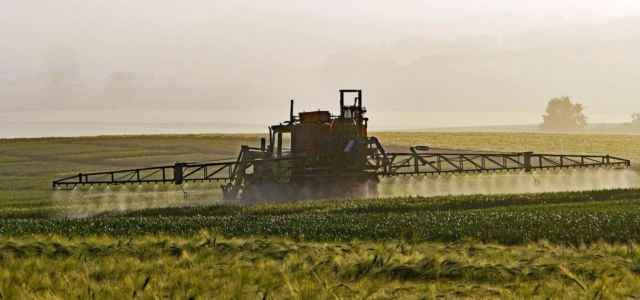 Agricoltura e utilizzo di pesticidi