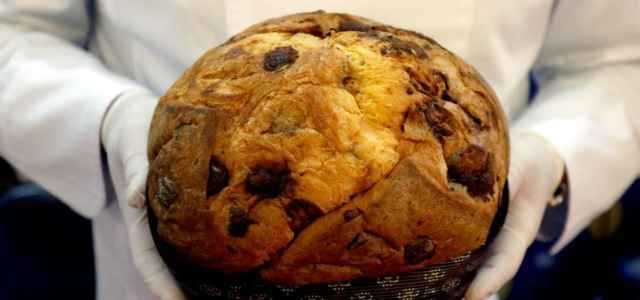 Un panettone artigianale